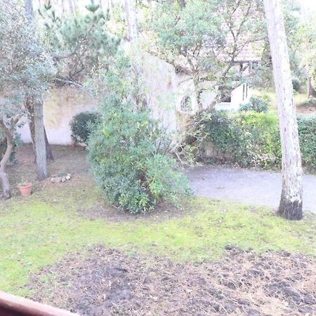 Ref 141 ,Seignosse Les Bourdaines , Villa Bouharde Classee 3 Etoiles, A 600 M Plage, 10 Personnes Экстерьер фото