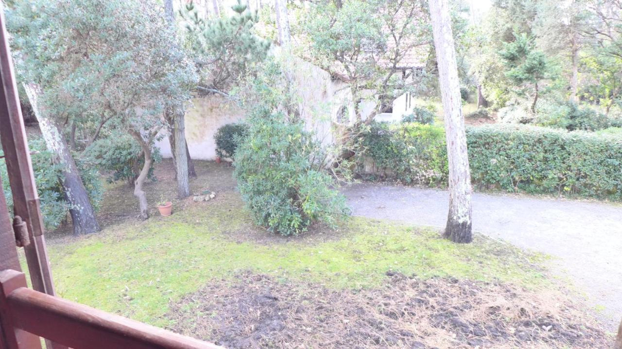 Ref 141 ,Seignosse Les Bourdaines , Villa Bouharde Classee 3 Etoiles, A 600 M Plage, 10 Personnes Экстерьер фото